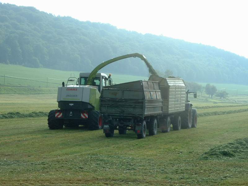 bilder/28_9_2005/jaguar_fendt_5.jpg