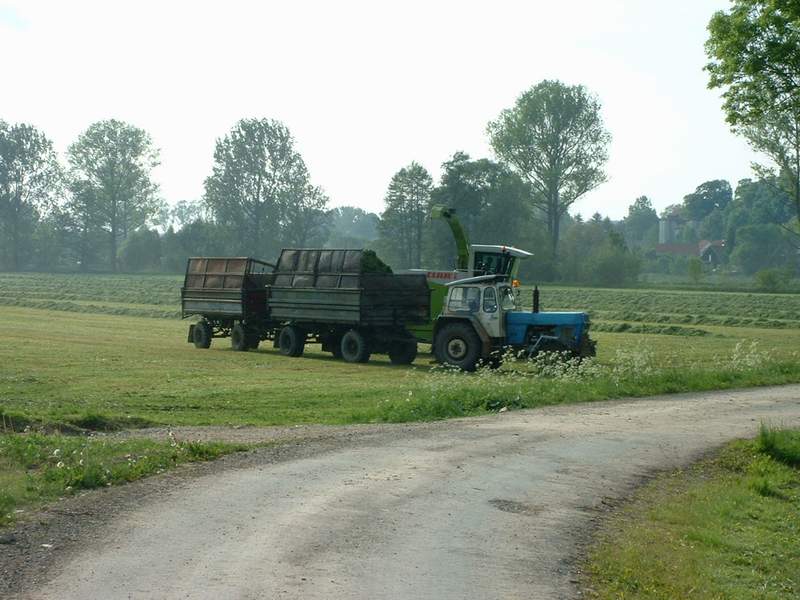 jaguar_900_+_zt_303_2.jpg