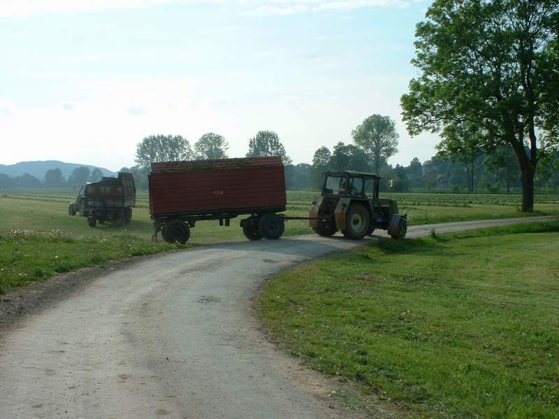 zt_323_+_zt_303.jpg