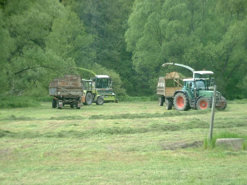 2x_jaguar_fendt_zt_323_2.jpg