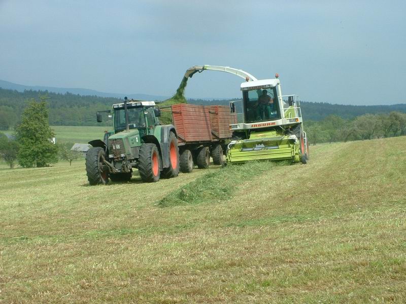 jaguar_fendt_12.jpg