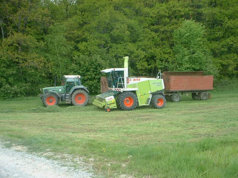 jaguar_fendt_14.jpg