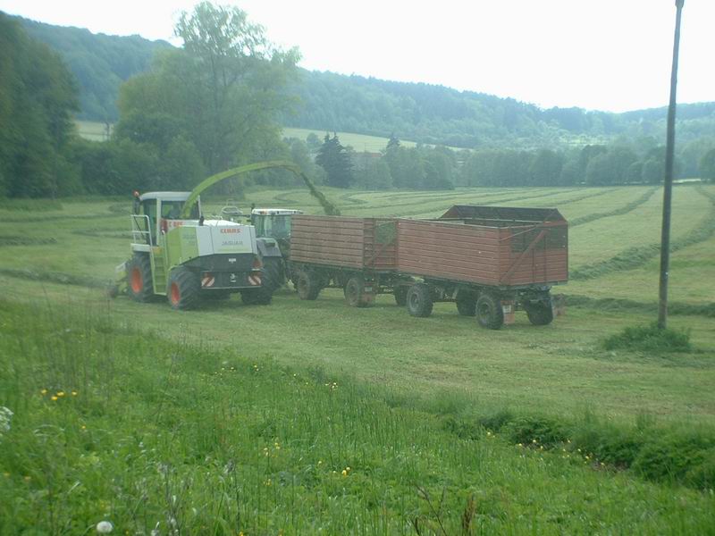 jaguar_fendt_15.jpg