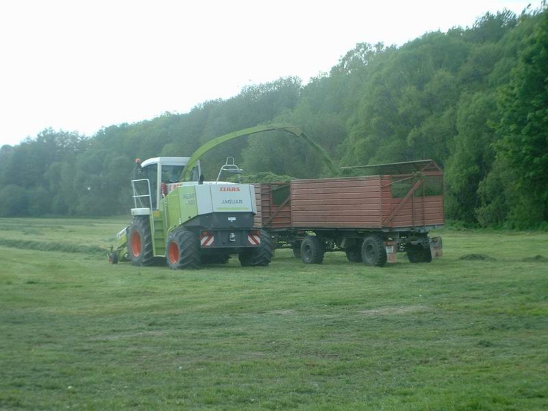 jaguar_fendt_24.jpg