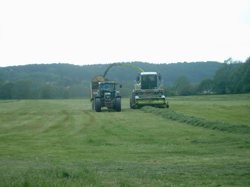 jaguar_fendt_25.jpg