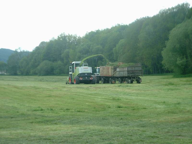 jaguar_fendt_27.jpg