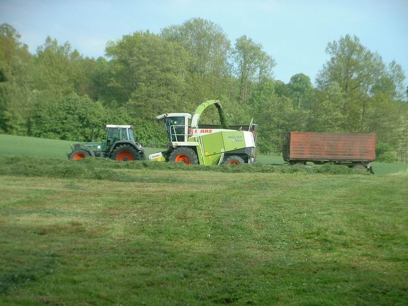 bilder/26_5_2004/jaguar_fendt_40.jpg