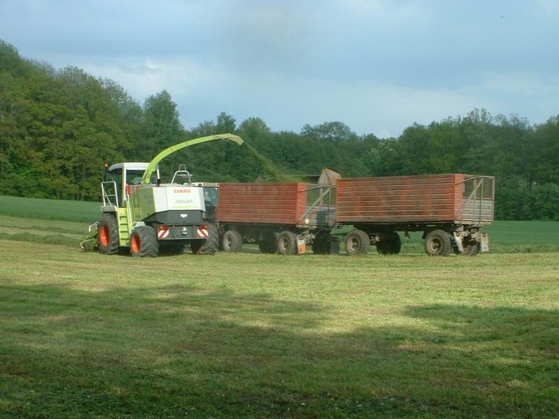 jaguar_fendt_43.jpg