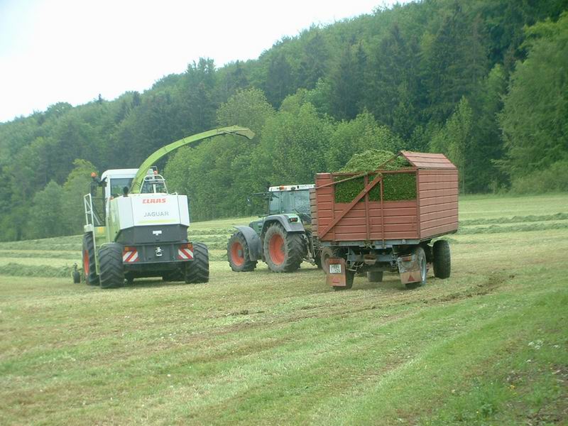 jaguar_fendt_6.jpg