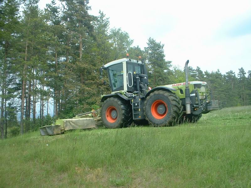 bilder/26_5_2004/xerion_9.jpg