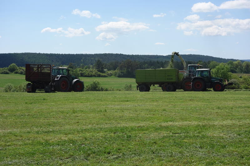 bilder/28_9_2013_2/CIMG9852.jpg