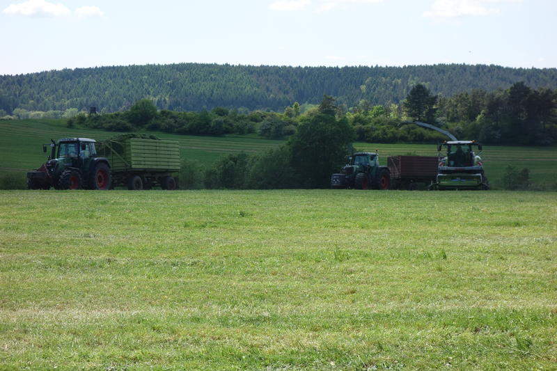 bilder/26_5_2017_3/DSC08480.jpg