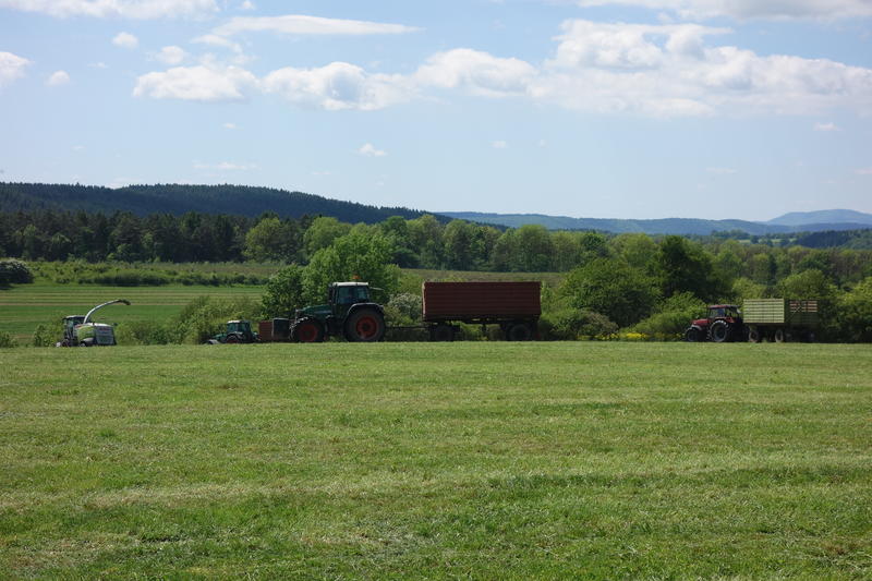 bilder/26_5_2017_3/DSC08482.jpg