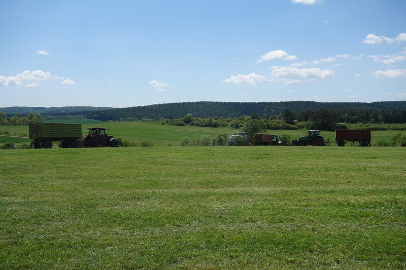 DSC08485.jpg
