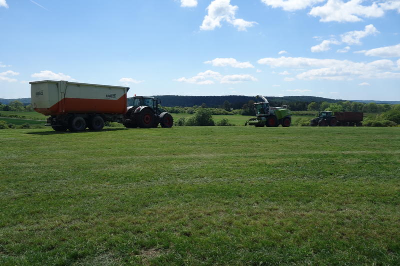bilder/27_7_2012/CIMG9881.jpg