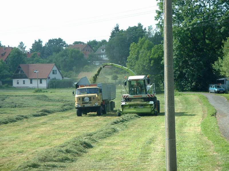 bilder/26_3_2012/CIMG8020.jpg