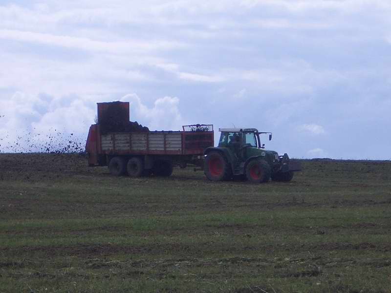bilder/26_7_2005/fendt_716_3.jpg