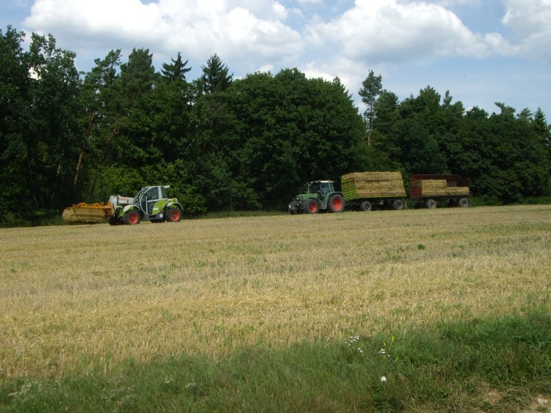 IMGP0805.jpg