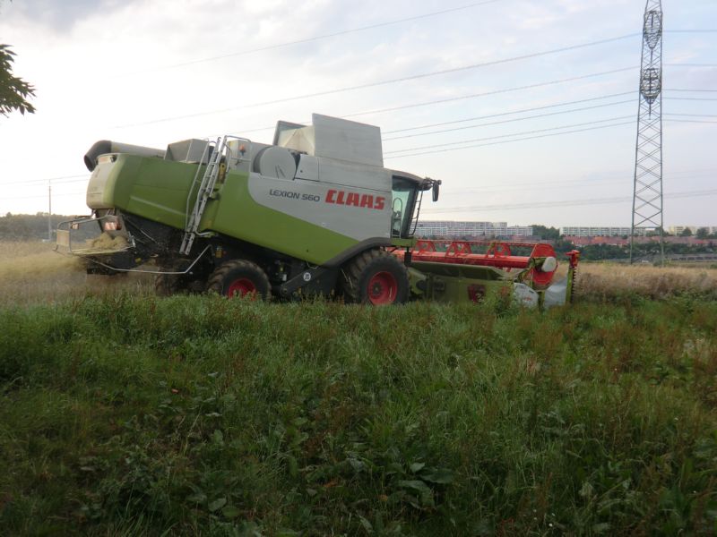bilder/26_7_2011/CIMG3708.jpg