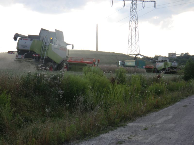 bilder/29_5_2012/CIMG8599.jpg