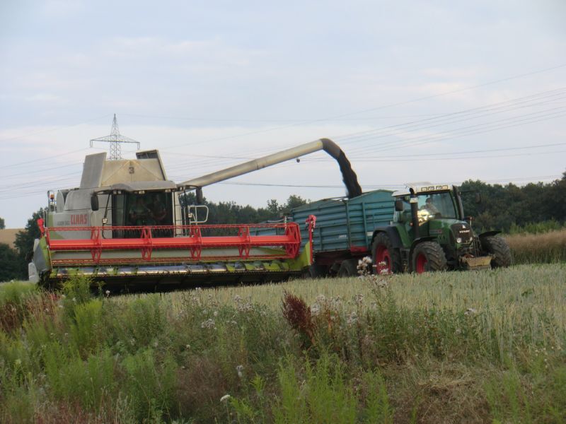 bilder/26_7_2011/CIMG3724.jpg