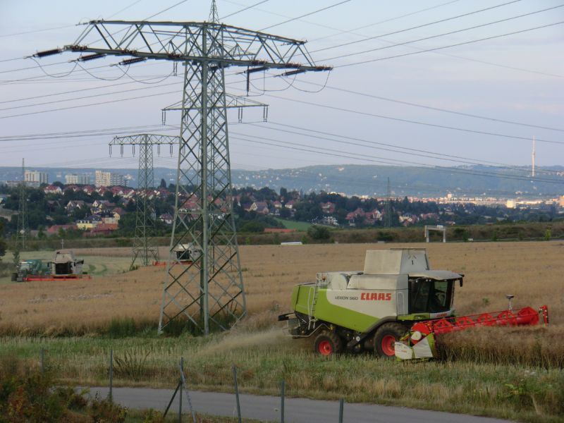 bilder/26_7_2011/CIMG3730.jpg
