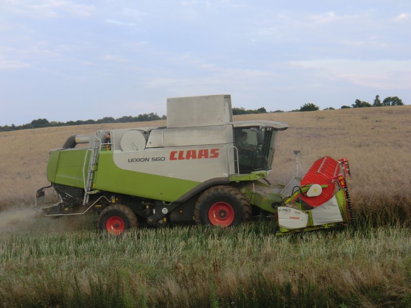 bilder/26_7_2011/CIMG3732.jpg