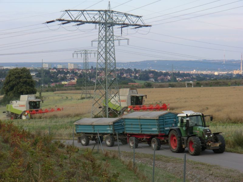CIMG3735.jpg