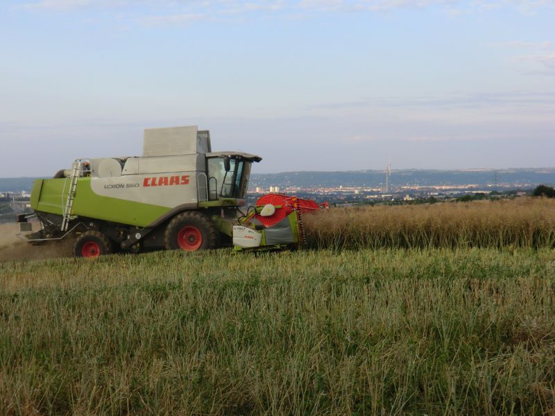 bilder/26_7_2011/CIMG3743.jpg