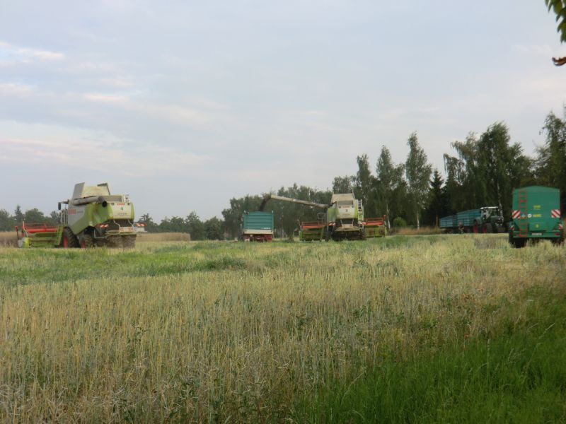 CIMG3745.jpg