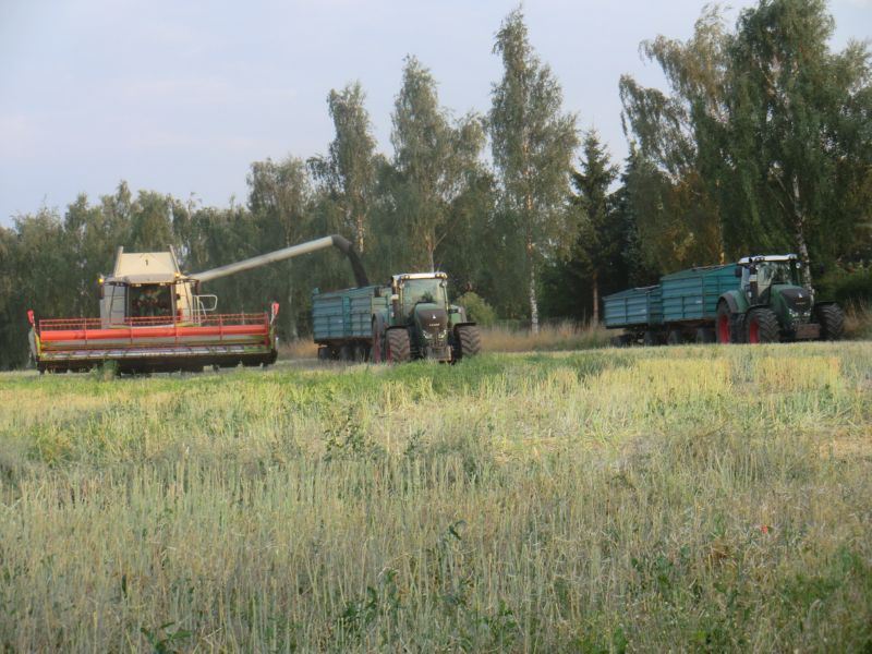 bilder/15_7_2011/CIMG2993.jpg