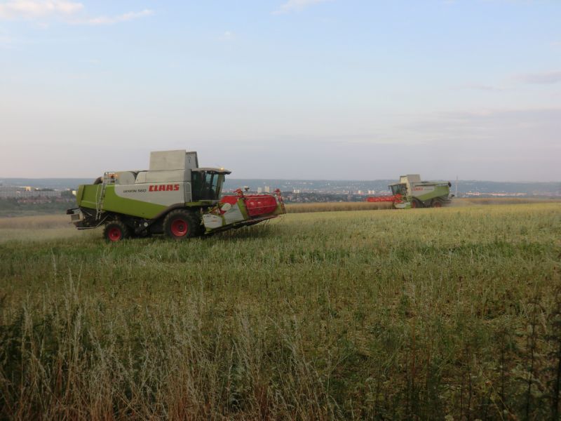 bilder/29_7_2005/terra_gator_5.jpg