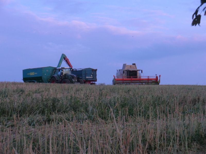 bilder/8_8_2013/CIMG8813.jpg
