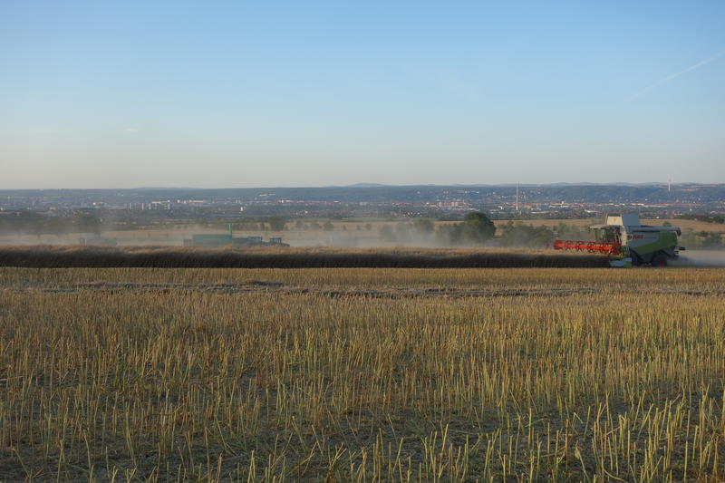 bilder/26_7_2015/DSC01875.jpg