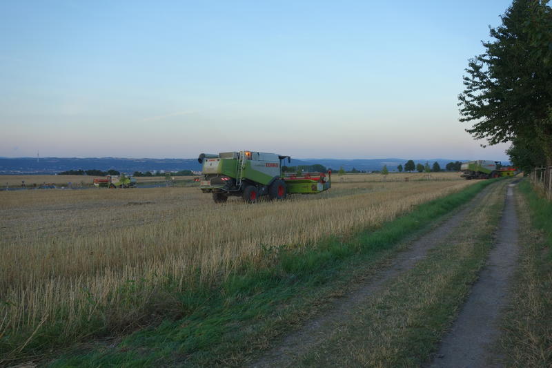 bilder/26_7_2015/DSC01895.jpg