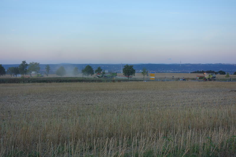 DSC01900.jpg