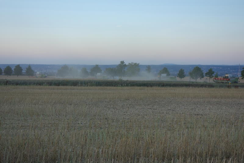 DSC01901.jpg