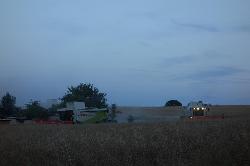 DSC01915.jpg