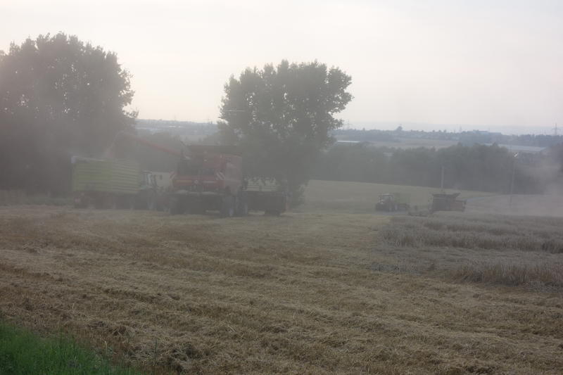 bilder/22_4_2011_2/CIMG1784.jpg