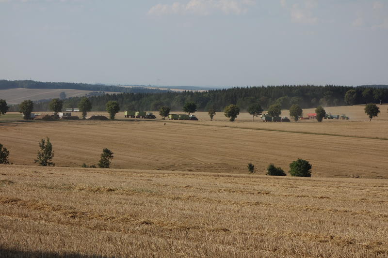 DSC04142.jpg