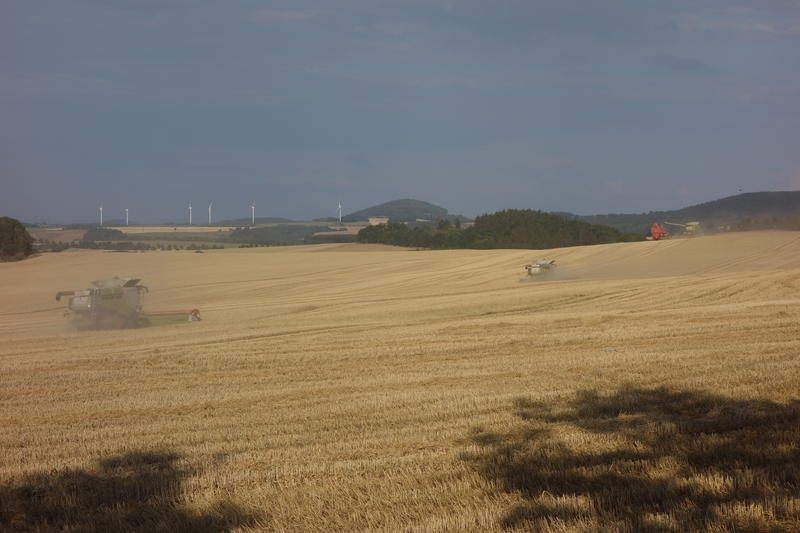 DSC04172.jpg