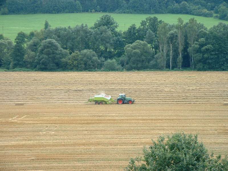 bilder/26_8_2002/fendt_716.jpg