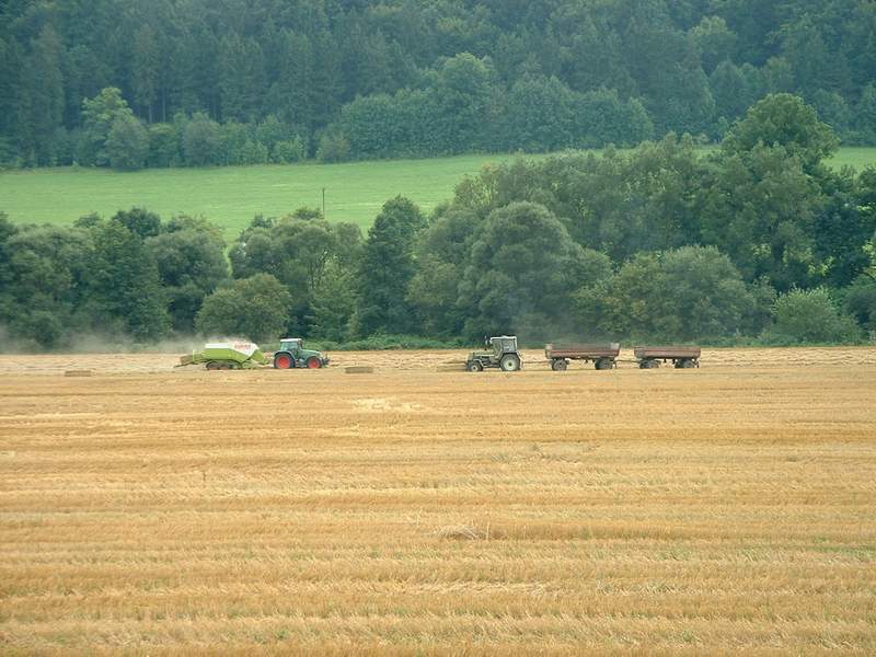 bilder/26_8_2002/fendt_716_+_zt_323.jpg