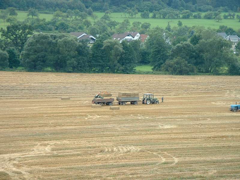 bilder/26_7_2011/CIMG3757.jpg