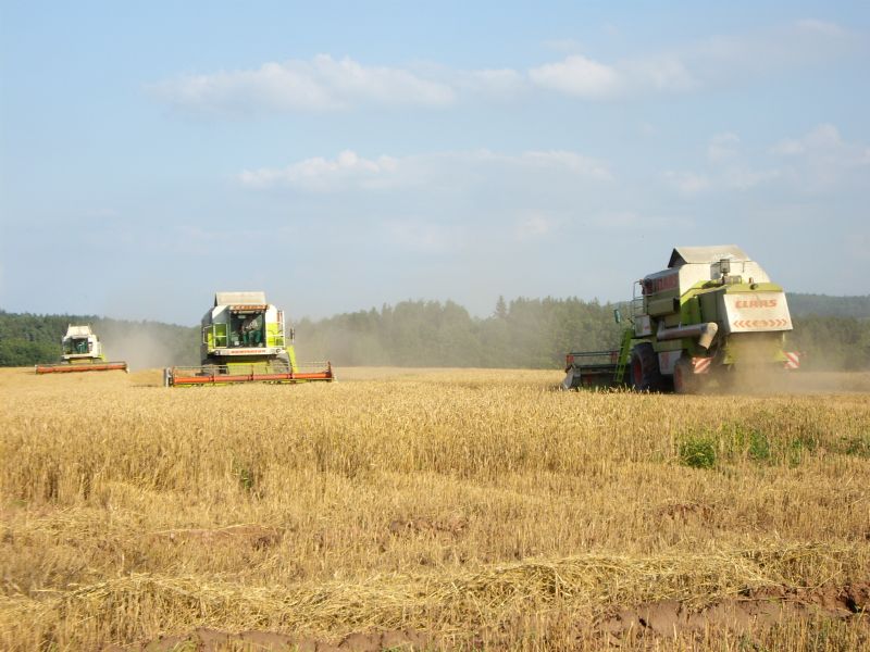 bilder/11_8_2019/DSC08087.jpg