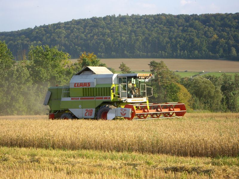 bilder/16_10_2004/jaguar_fendt_15.jpg