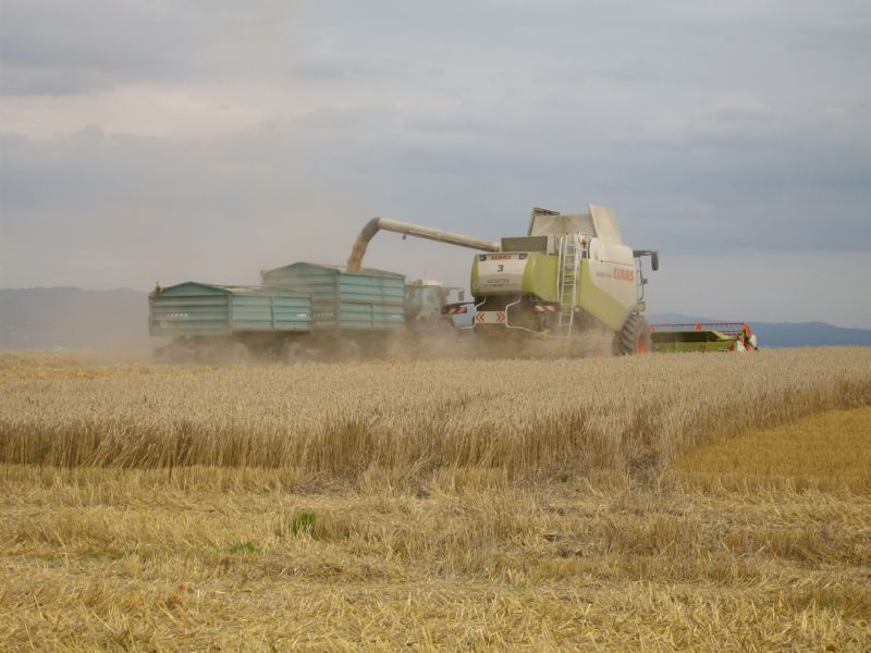bilder/31_8_2002/fendt_716_9.jpg