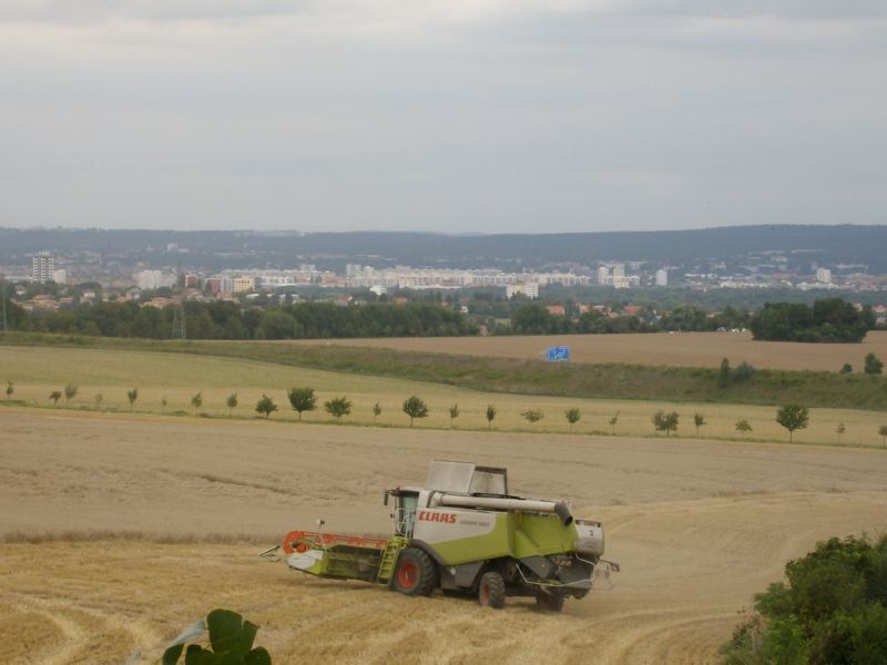 bilder/26_8_2010/IMGP2701.jpg