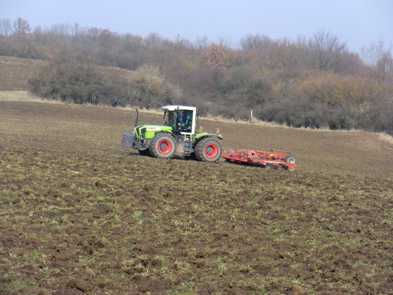 CIMG8045.jpg