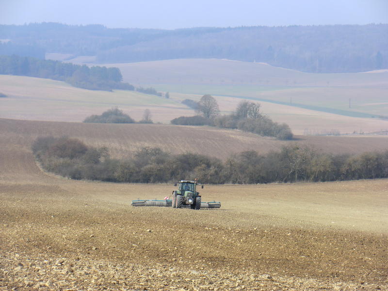 CIMG8047.jpg